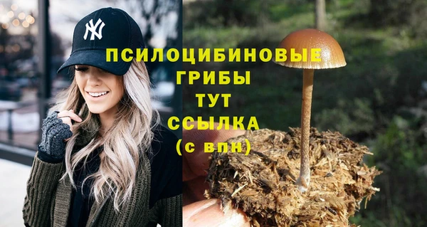 прущие крисы Абдулино
