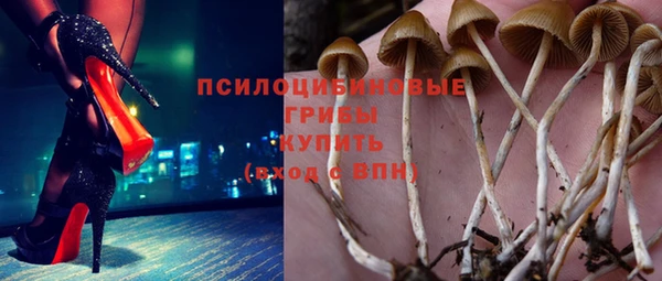 apvp Надым
