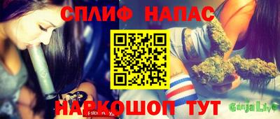 молекула духа Шахты
