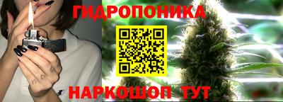 сатива Шелехов