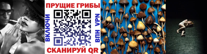 цены   blacksprut рабочий сайт  Галлюциногенные грибы Psilocybe  Альметьевск 