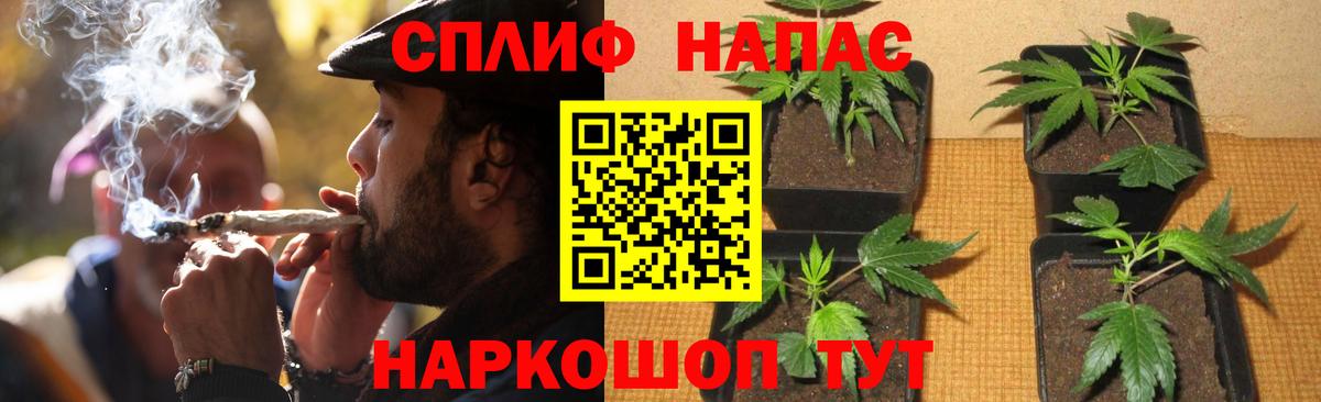 Бошки Шишки марихуана  Вход с VPN  Шишки марихуана MAZAR  Альметьевск  Марихуана гибрид 